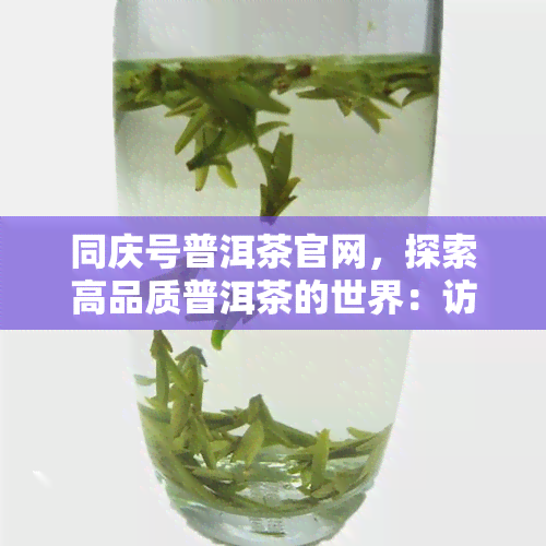 同庆号普洱茶官网，探索高品质普洱茶的世界：访问同庆号普洱茶官网