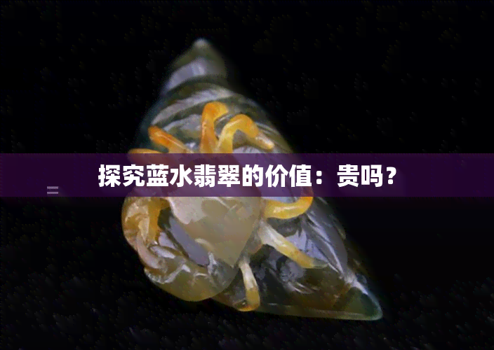 探究蓝水翡翠的价值：贵吗？