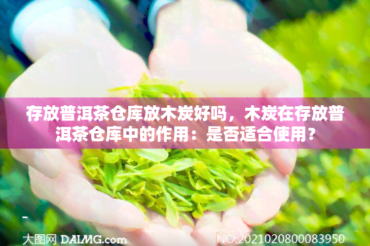 存放普洱茶仓库放木炭好吗，木炭在存放普洱茶仓库中的作用：是否适合使用？