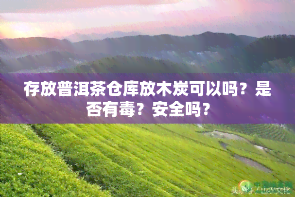 存放普洱茶仓库放木炭可以吗？是否有？安全吗？