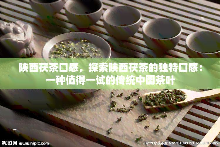 陕西茯茶口感，探索陕西茯茶的独特口感：一种值得一试的传统中国茶叶