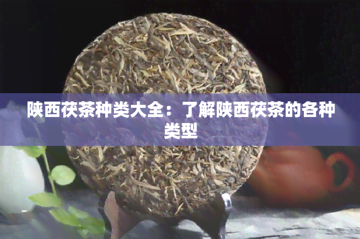 陕西茯茶种类大全：了解陕西茯茶的各种类型