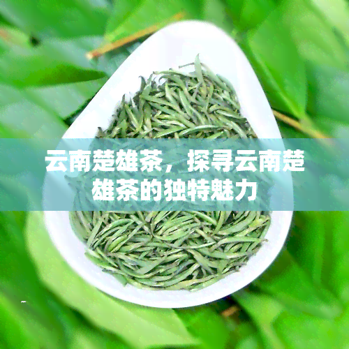 云南楚雄茶，探寻云南楚雄茶的独特魅力