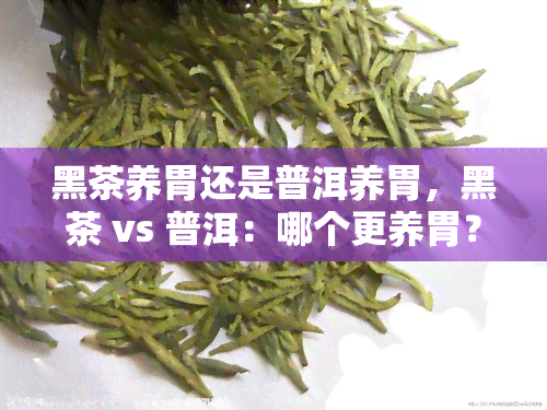 黑茶养胃还是普洱养胃，黑茶 vs 普洱：哪个更养胃？