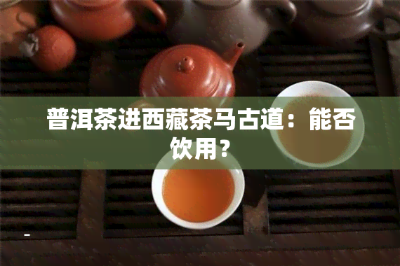 普洱茶进 *** 茶马古道：能否饮用？