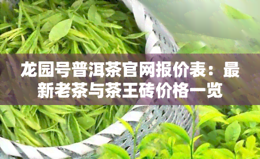 龙园号普洱茶官网报价表：最新老茶与茶王砖价格一览