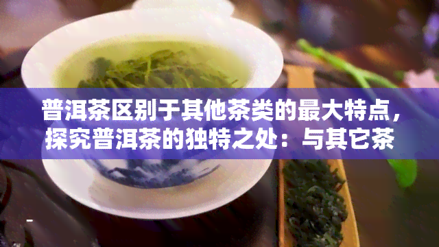 普洱茶区别于其他茶类的更大特点，探究普洱茶的独特之处：与其它茶类的主要差别