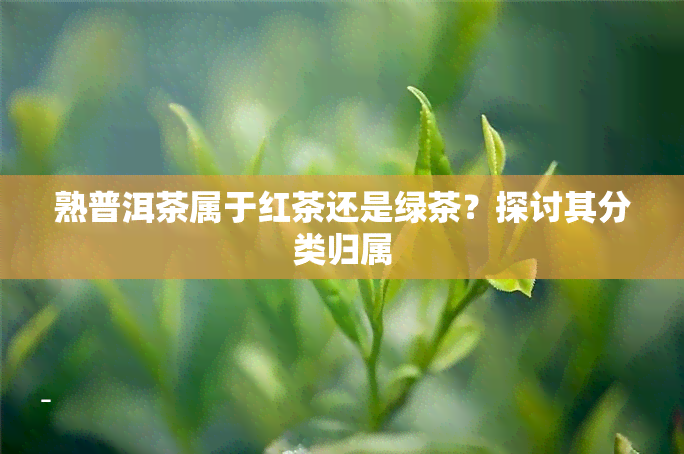 熟普洱茶属于红茶还是绿茶？探讨其分类归属