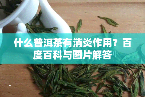 什么普洱茶有消炎作用？百度百科与图片解答