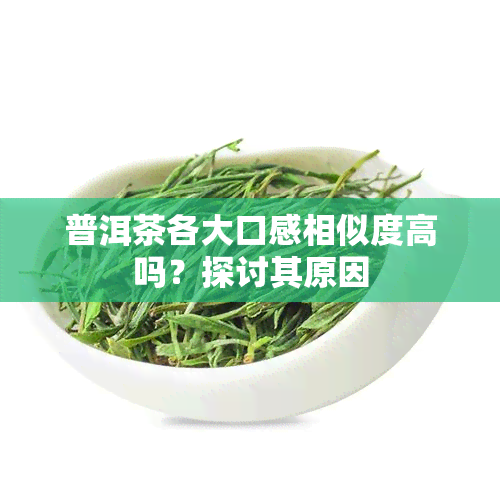 普洱茶各大口感相似度高吗？探讨其原因