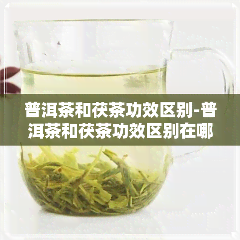 普洱茶和茯茶功效区别-普洱茶和茯茶功效区别在哪