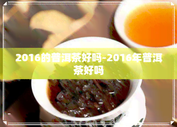 2016的普洱茶好吗-2016年普洱茶好吗