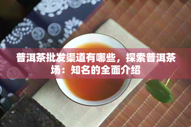 普洱茶批发渠道有哪些，探索普洱茶场：知名的全面介绍