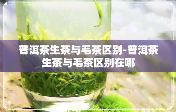 普洱茶生茶与毛茶区别-普洱茶生茶与毛茶区别在哪