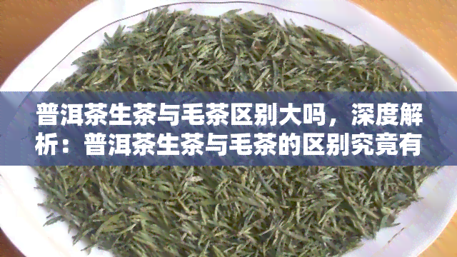 普洱茶生茶与毛茶区别大吗，深度解析：普洱茶生茶与毛茶的区别究竟有多大？