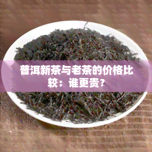 普洱新茶与老茶的价格比较：谁更贵？