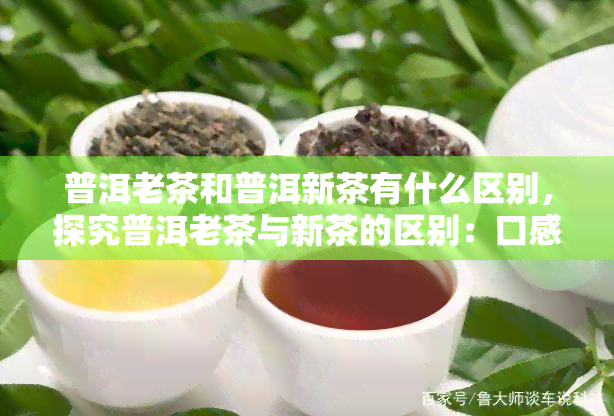 普洱老茶和普洱新茶有什么区别，探究普洱老茶与新茶的区别：口感、香气与价值的对比分析