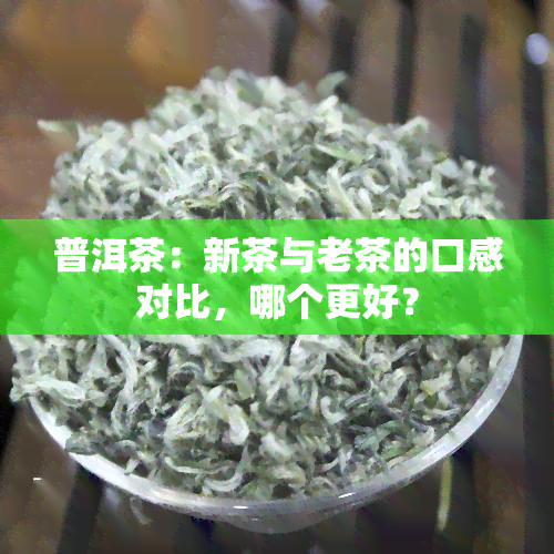 普洱茶：新茶与老茶的口感对比，哪个更好？