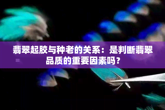 翡翠起胶与种老的关系：是判断翡翠品质的重要因素吗？