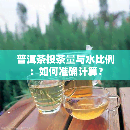 普洱茶投茶量与水比例：如何准确计算？