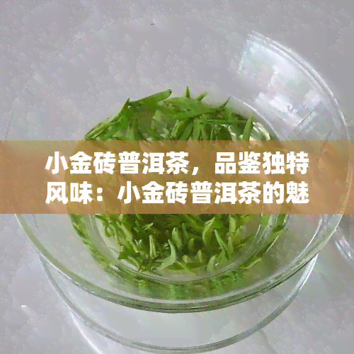 小金砖普洱茶，品鉴独特风味：小金砖普洱茶的魅力所在