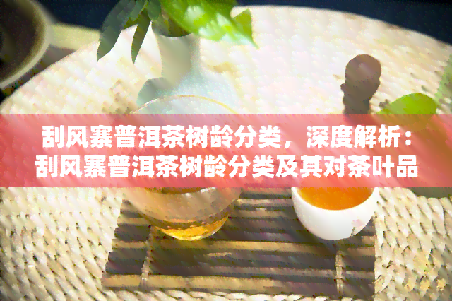 刮风寨普洱茶树龄分类，深度解析：刮风寨普洱茶树龄分类及其对茶叶品质的影响