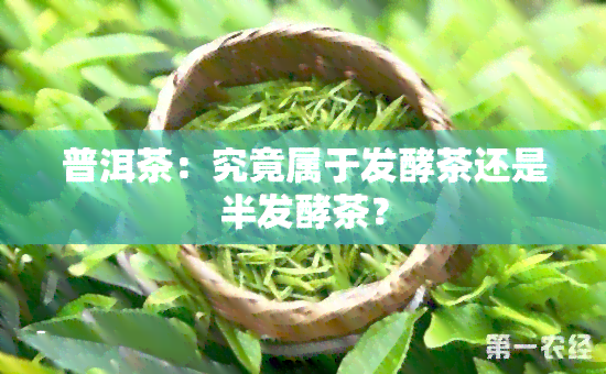 普洱茶：究竟属于发酵茶还是半发酵茶？