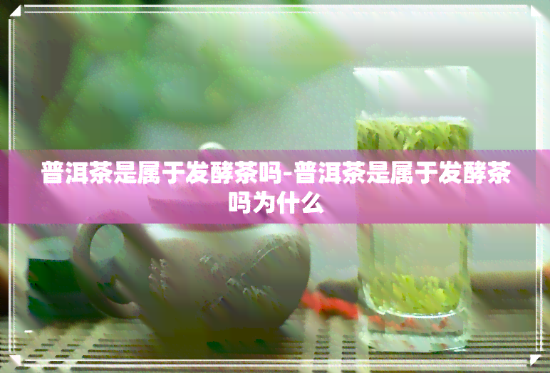 普洱茶是属于发酵茶吗-普洱茶是属于发酵茶吗为什么