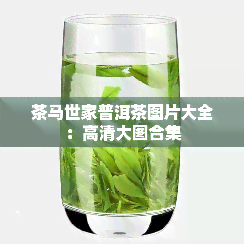 茶马世家普洱茶图片大全：高清大图合集