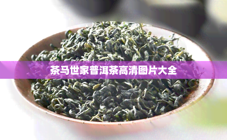 茶马世家普洱茶高清图片大全