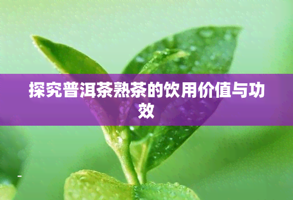 探究普洱茶熟茶的饮用价值与功效