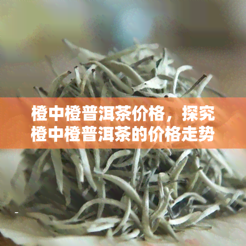 橙中橙普洱茶价格，探究橙中橙普洱茶的价格走势与市场行情