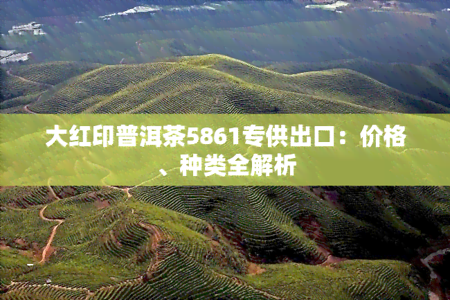 大红印普洱茶5861专供出口：价格、种类全解析