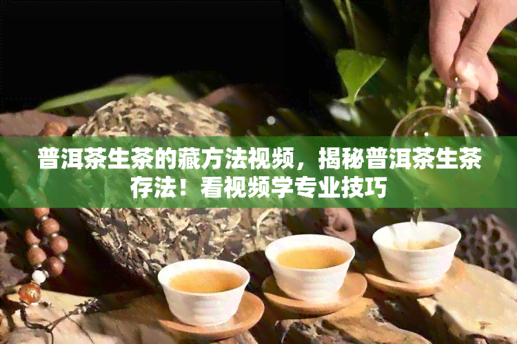 普洱茶生茶的藏方法视频，揭秘普洱茶生茶存法！看视频学专业技巧