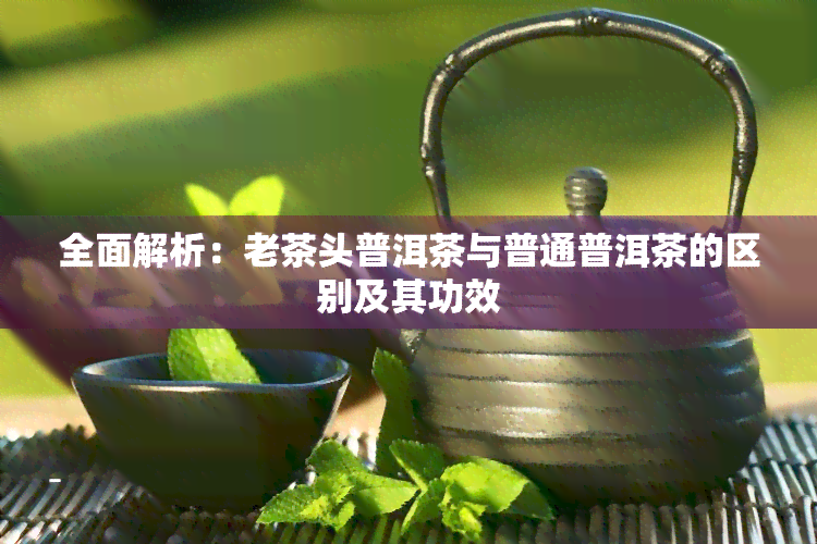 全面解析：老茶头普洱茶与普通普洱茶的区别及其功效