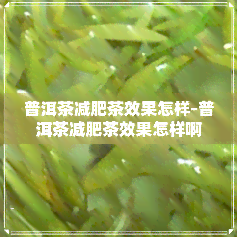 普洱茶减肥茶效果怎样-普洱茶减肥茶效果怎样啊