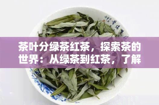 茶叶分绿茶红茶，探索茶的世界：从绿茶到红茶，了解茶叶的不同分类