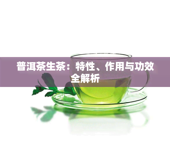 普洱茶生茶：特性、作用与功效全解析