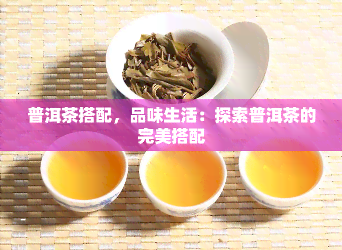 普洱茶搭配，品味生活：探索普洱茶的完美搭配