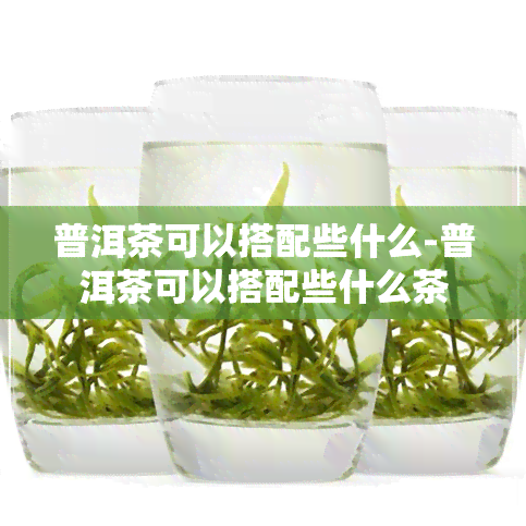 普洱茶可以搭配些什么-普洱茶可以搭配些什么茶