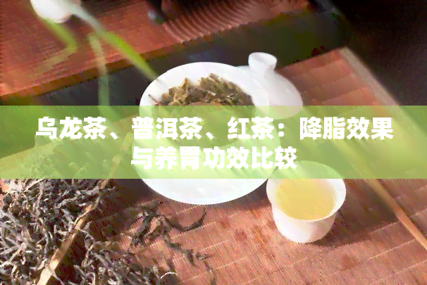 乌龙茶、普洱茶、红茶：降脂效果与养胃功效比较