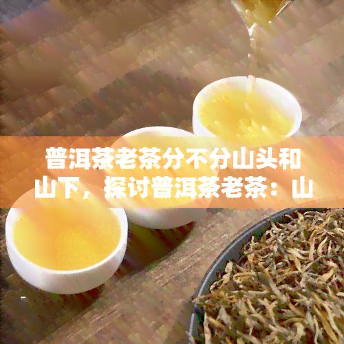 普洱茶老茶分不分山头和山下，探讨普洱茶老茶：山头与山下的区别