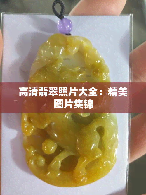 高清翡翠照片大全：精美图片集锦