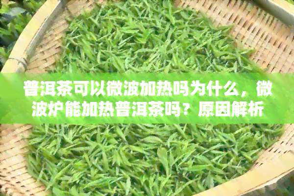 普洱茶可以微波加热吗为什么，微波炉能加热普洱茶吗？原因解析