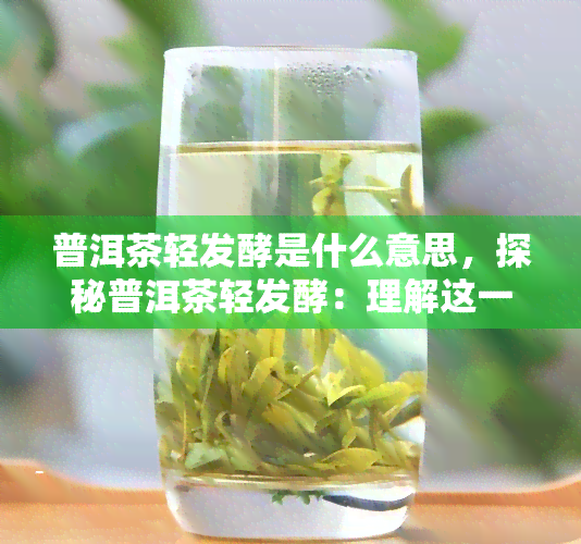 普洱茶轻发酵是什么意思，探秘普洱茶轻发酵：理解这一独特工艺的含义与作用