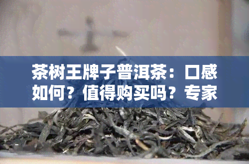 茶树王牌子普洱茶：口感如何？值得购买吗？专家品评