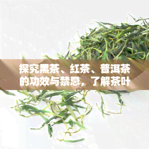 探究黑茶、红茶、普洱茶的功效与禁忌，了解茶叶健知识