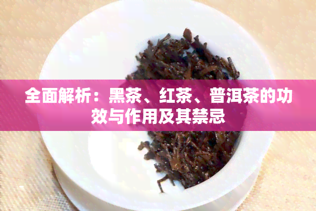 全面解析：黑茶、红茶、普洱茶的功效与作用及其禁忌