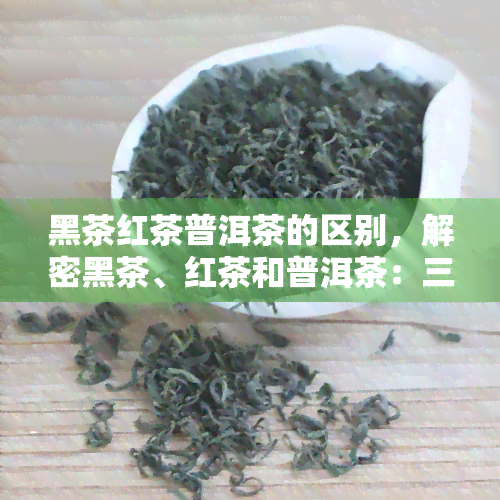 黑茶红茶普洱茶的区别，解密黑茶、红茶和普洱茶：三大茶类的区别与特点