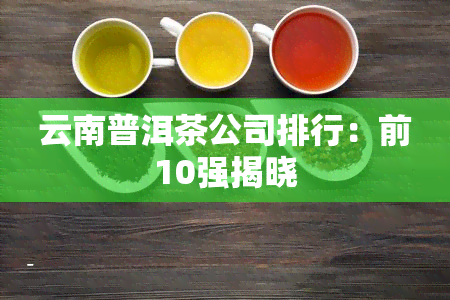 云南普洱茶公司排行：前10强揭晓